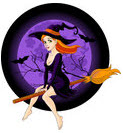 Wordpress Plugin Magic Video Course Wordpress Plugin Magic Video Course