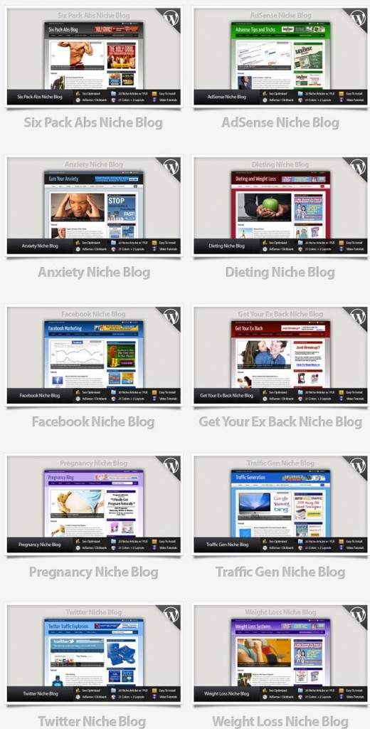 10 Turn Key WordPress Blogs Word Press Blogs