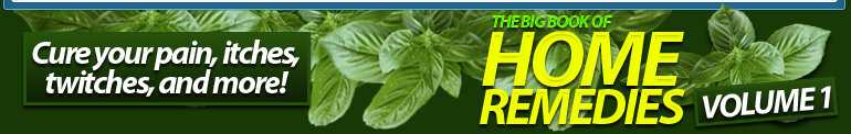 BigBooKBANNER Big Book Of Home Remedies