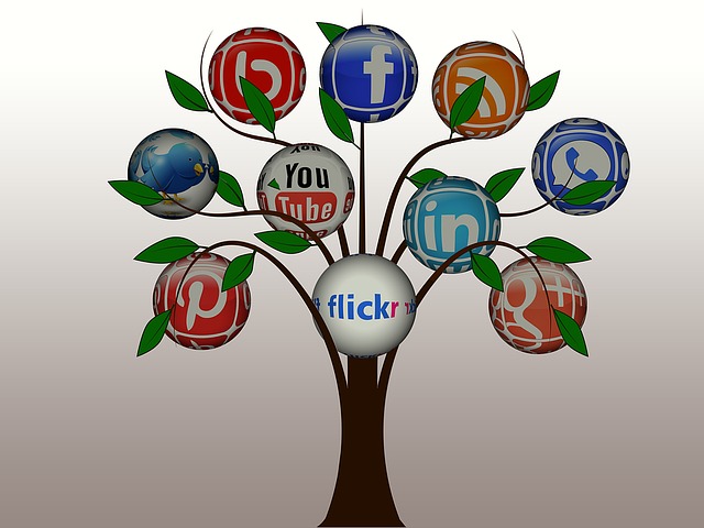 DIGITAL MARKETING WHEELS